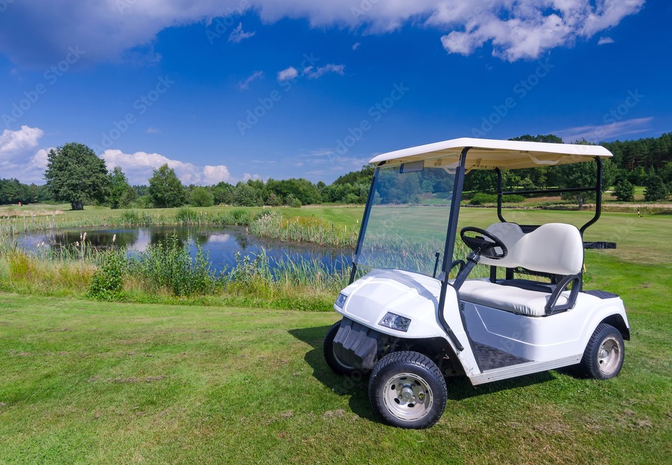 2002 GEM E825 golf cart