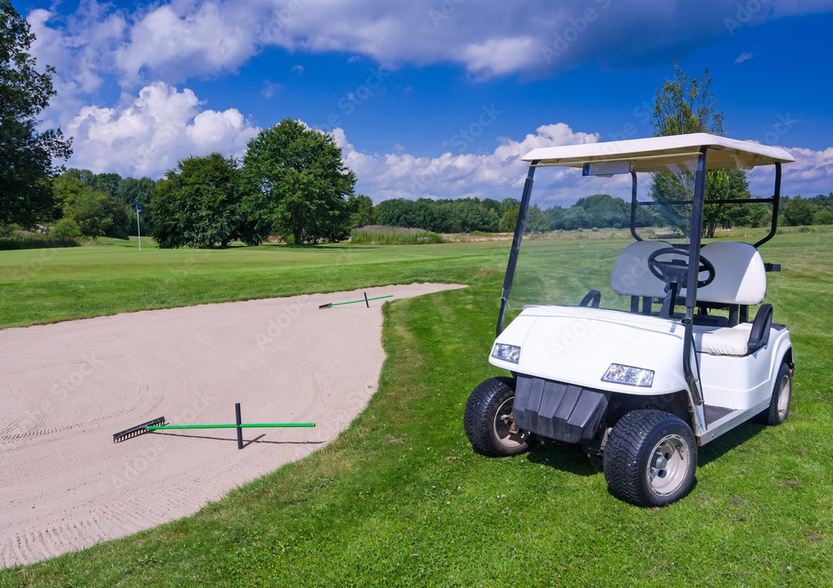 2002 GEM E825 golf cart