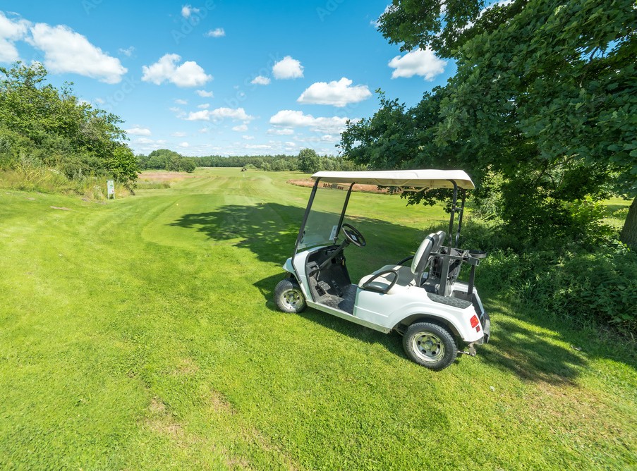 2002 GEM E825 golf cart