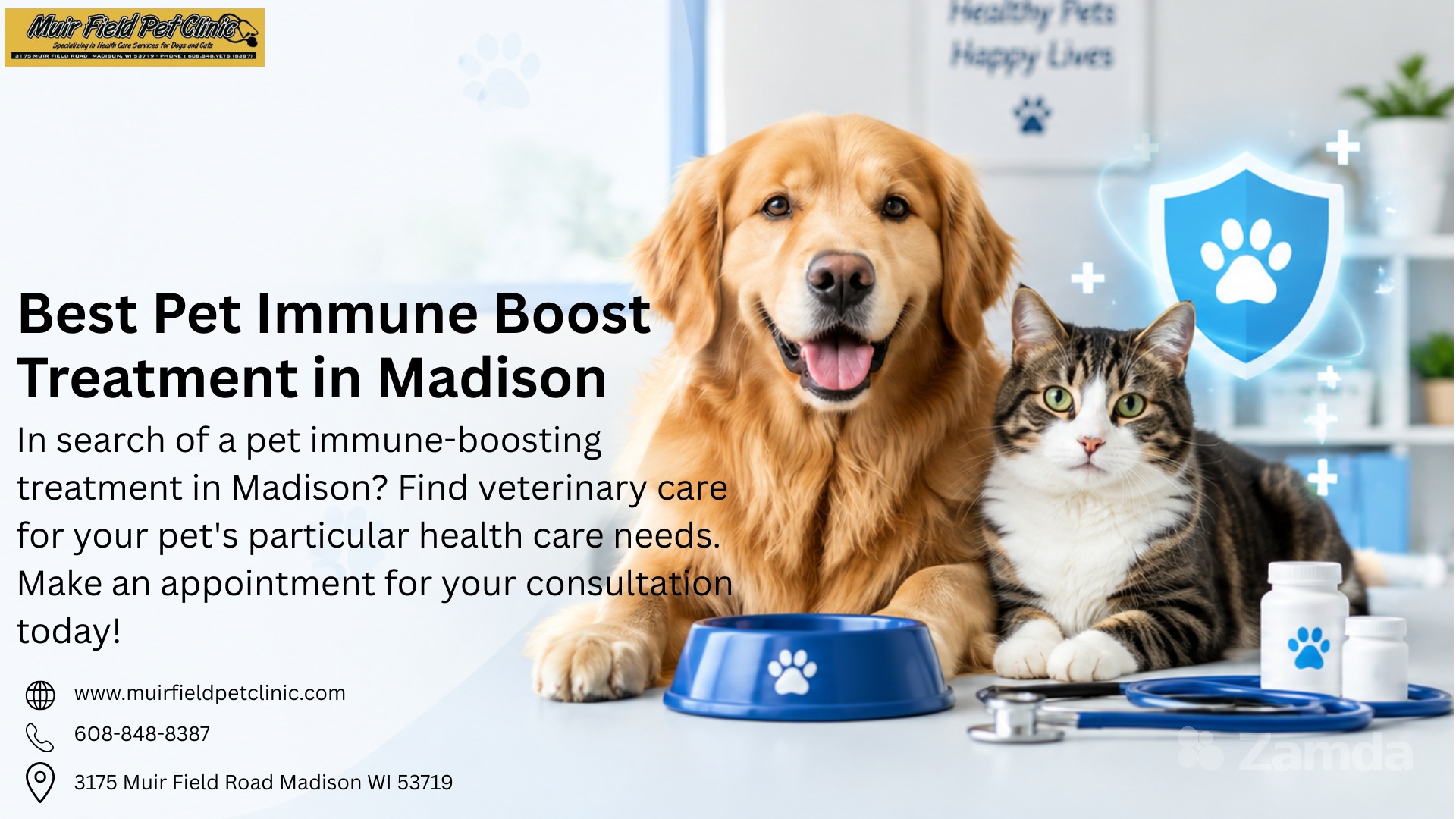 Best Pet Immune Boost Treatment in Madison | Get Care
